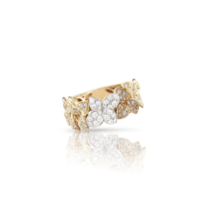 Ama ring